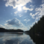 apegora3902-blog