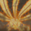 mruzumaki99