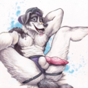 another-gay-yiff-blog avatar