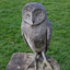 green-manic-owl