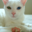 inkyscratch-blog