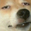 shun-the-n0nbeliever
