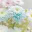 mmmphotostudio