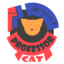 professorcatpro