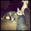 foxyfayce-blog