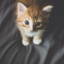 tornadosandkittens