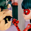 miraculous-ladybug-and-catnoir avatar