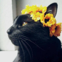 blxsa:  grandmasterbooty:  2opinionatedblackgirls:  kingofhispaniola:  kingofhispaniola: