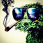 lets420dudi