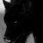 blackwolfstar