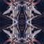 luxcarsnmore