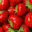 jovialpeacestrawberry