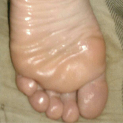 Reblog if you are a foot fetish blog!