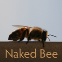 naked-bee avatar