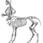 centaurmeat
