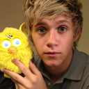 kryptoniall:  HE’S SO DAMN CUTE I WANNA PUKE  
