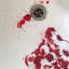goregoo