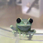 thisisfrog