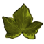 flashbramfield