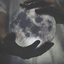 the-lil-dreamer