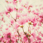 sweetpea104