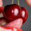 sexinthestax-blog