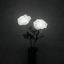 helloeternaldarkness-blog