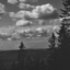 h4rmonic-blog