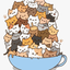 wqbears