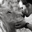 lionsfly