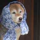 cosmofloof:*sobs profusely at the butt wiggles*