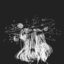 simply-br0kenn