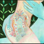 peaches23-blog1