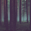 discoveryourselfdarling