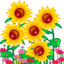 suncherie