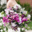 myweddingdreamscj