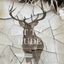 adelaide-jiang-blog