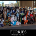 aceokami:  lucobutt:  lucobutt:  furries