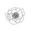 flowerrstudies