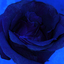 crystalbluesatinwave