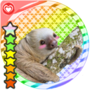 littleblumoose avatar