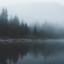 emaciiity
