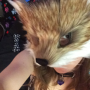 Thecatlikefox:  This Was Meant To Be A Gif…. But I Lack Skills. Enjoy This Little