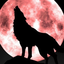 xsilverwolfx