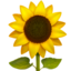 dansuccx