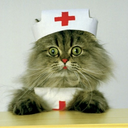 When all your patient's labs and vitals are WNL