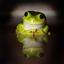 milk-and-frogs