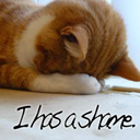 cat-shaming:  This is what happens when I meow at my cat