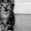 vitoriasmile