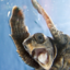 ottotrophic